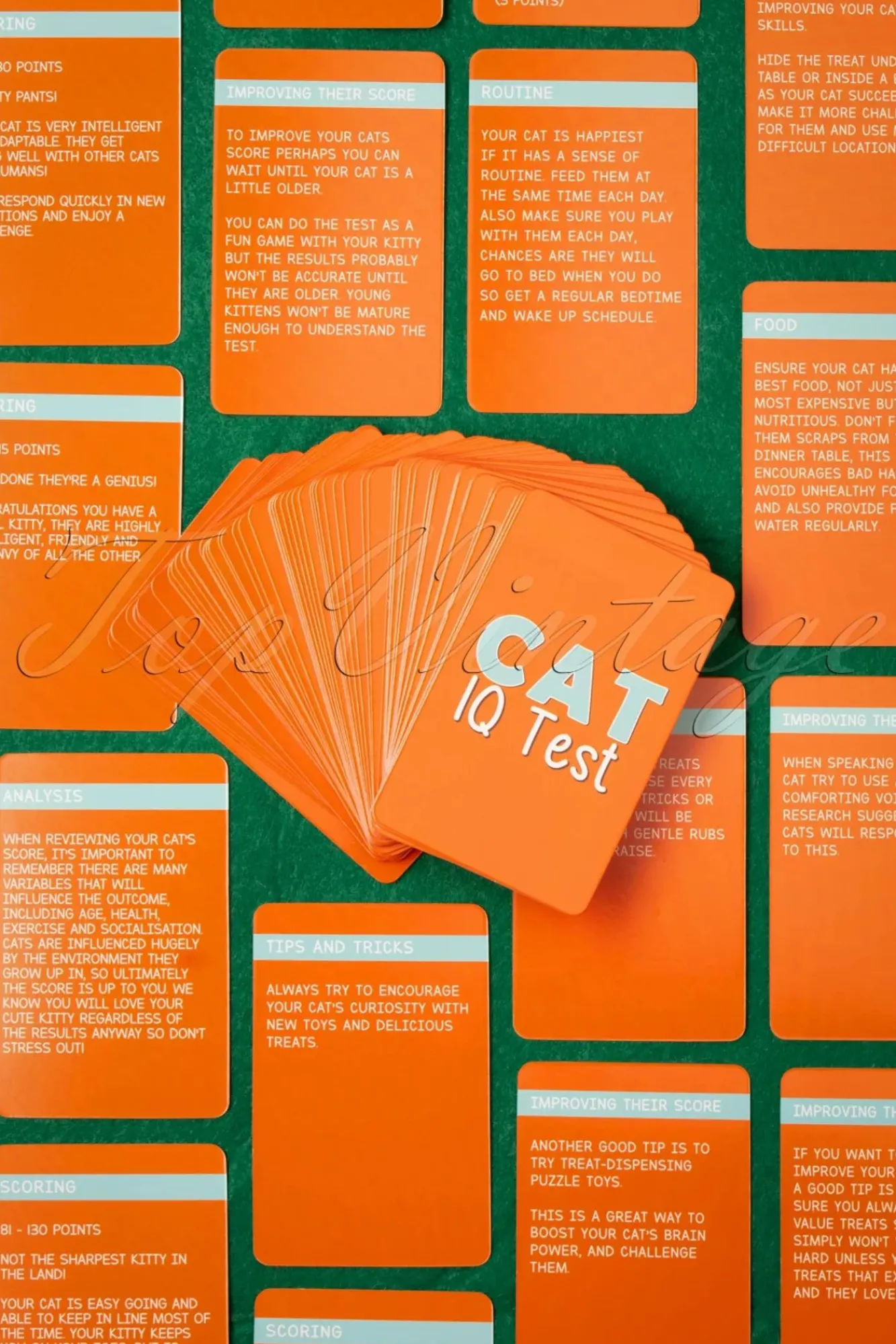 Hot Gift Republic Katten Iq-Test!